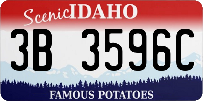 ID license plate 3B3596C