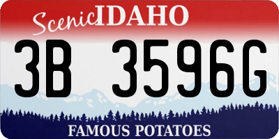 ID license plate 3B3596G