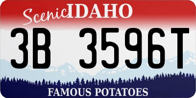 ID license plate 3B3596T