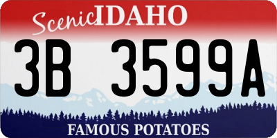 ID license plate 3B3599A