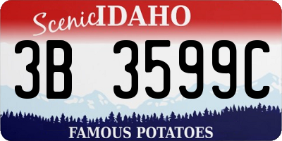 ID license plate 3B3599C