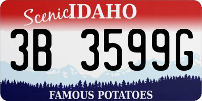ID license plate 3B3599G