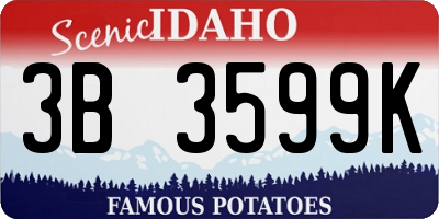 ID license plate 3B3599K