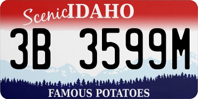 ID license plate 3B3599M