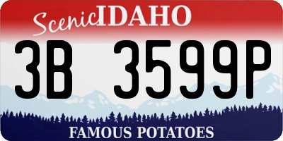 ID license plate 3B3599P