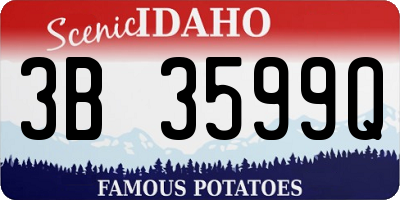 ID license plate 3B3599Q