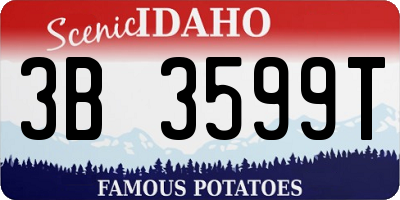 ID license plate 3B3599T