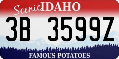 ID license plate 3B3599Z