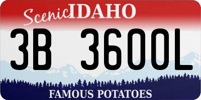 ID license plate 3B3600L