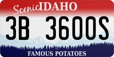 ID license plate 3B3600S