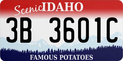 ID license plate 3B3601C