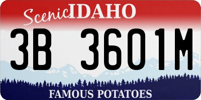 ID license plate 3B3601M