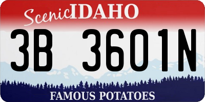 ID license plate 3B3601N