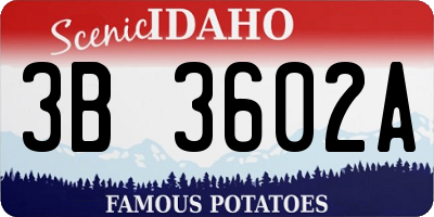 ID license plate 3B3602A