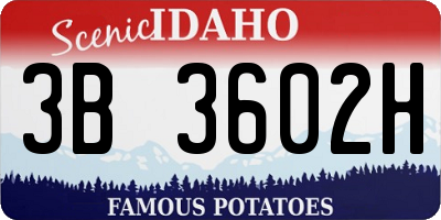 ID license plate 3B3602H