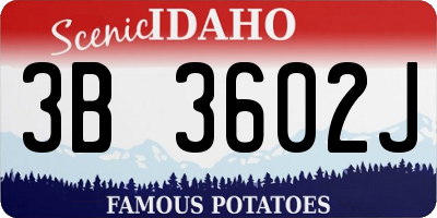 ID license plate 3B3602J