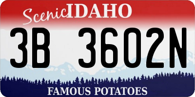 ID license plate 3B3602N
