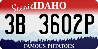 ID license plate 3B3602P