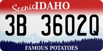 ID license plate 3B3602Q