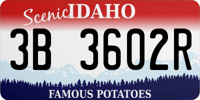 ID license plate 3B3602R
