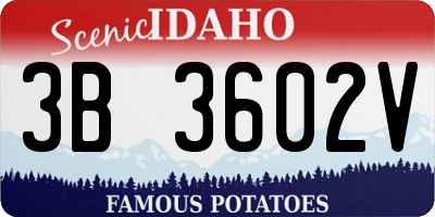 ID license plate 3B3602V