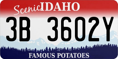 ID license plate 3B3602Y