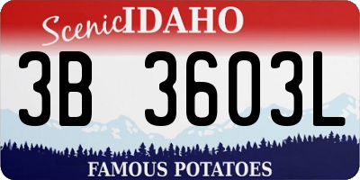 ID license plate 3B3603L