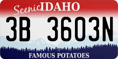ID license plate 3B3603N