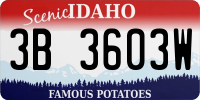 ID license plate 3B3603W