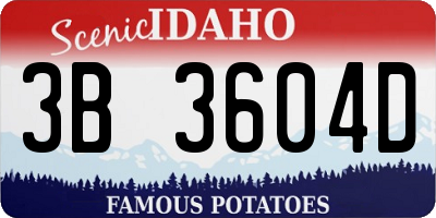 ID license plate 3B3604D