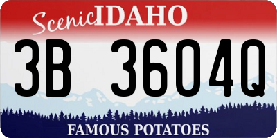 ID license plate 3B3604Q
