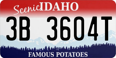 ID license plate 3B3604T