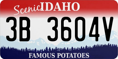 ID license plate 3B3604V
