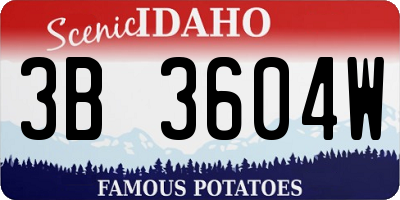ID license plate 3B3604W