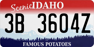 ID license plate 3B3604Z