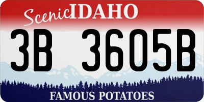 ID license plate 3B3605B