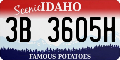 ID license plate 3B3605H