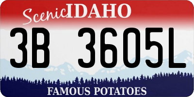 ID license plate 3B3605L