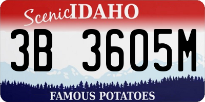 ID license plate 3B3605M