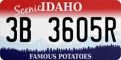 ID license plate 3B3605R