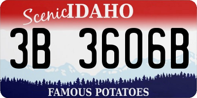 ID license plate 3B3606B