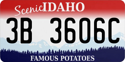 ID license plate 3B3606C