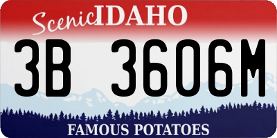 ID license plate 3B3606M