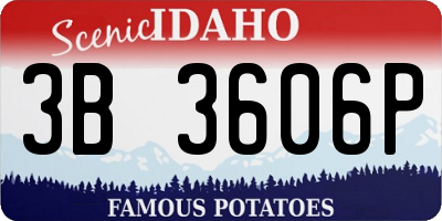 ID license plate 3B3606P