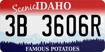 ID license plate 3B3606R