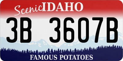 ID license plate 3B3607B