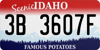 ID license plate 3B3607F