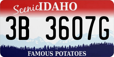 ID license plate 3B3607G
