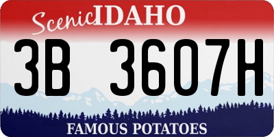 ID license plate 3B3607H