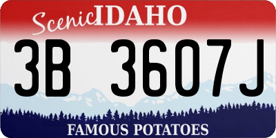 ID license plate 3B3607J
